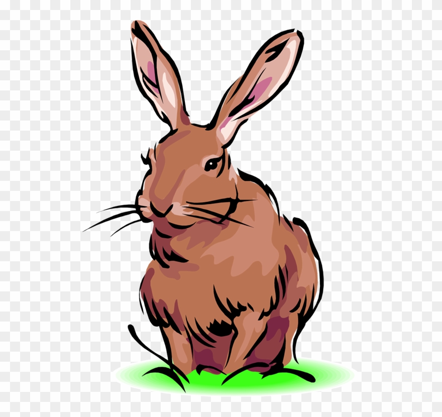 Free Rabbit Clipart - Black Tailed Jackrabbit Animated - Png Download