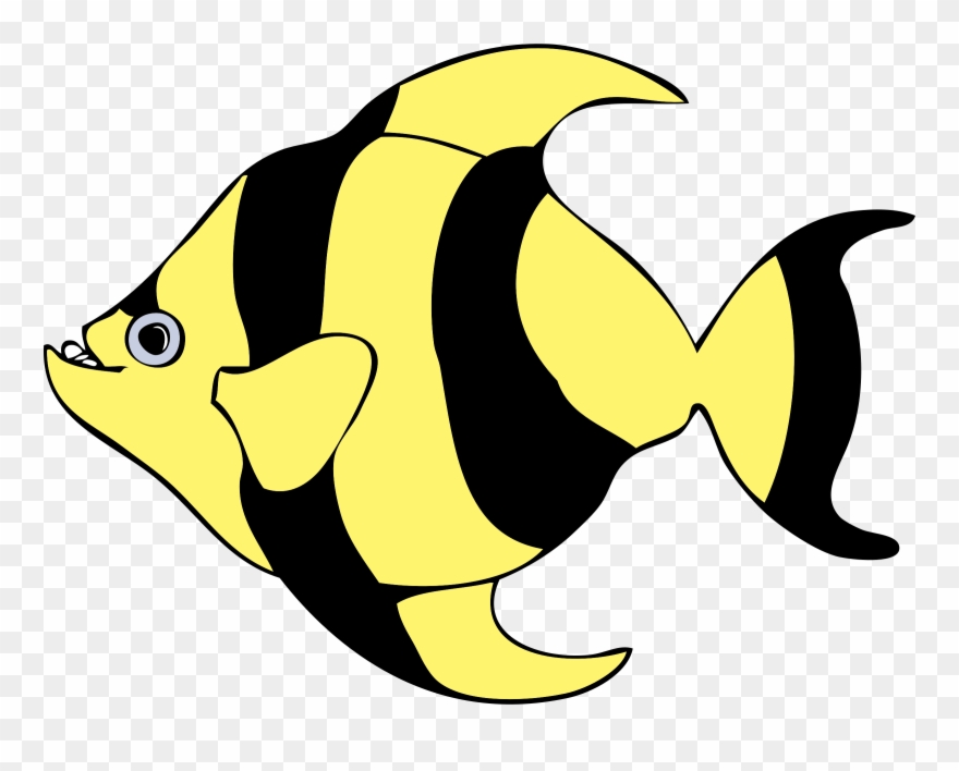 Image Of Tropical Fish Clipart - Fish Clipart - Png Download