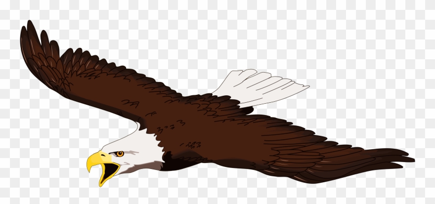 Flying Eagle Clip Art - Png Download