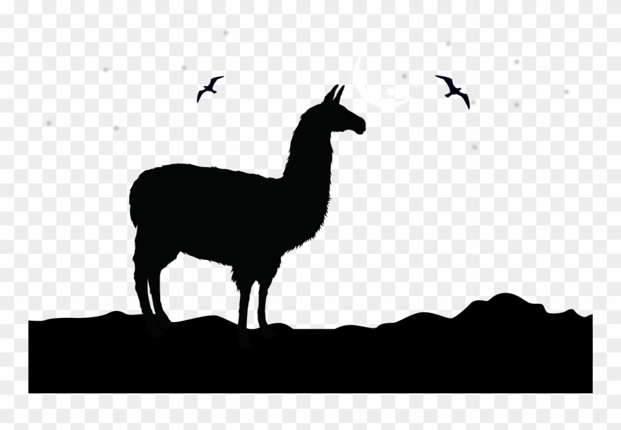 Svg Transparent Library Silhouette Clip Art At - Alpaca Silhouette - Png Download