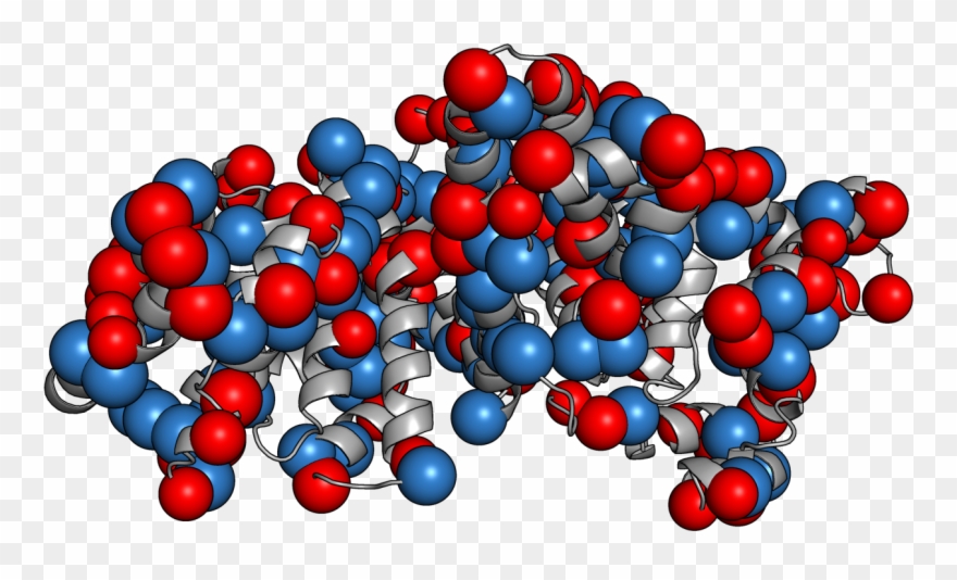 Albumina Png Clipart