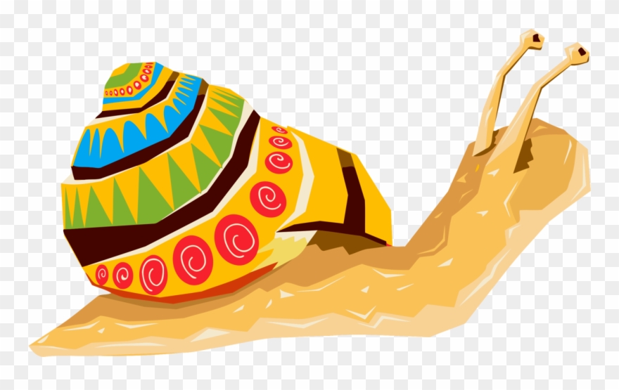 Snail Seashell Gastropod Shell Gastropods Conch - Seashell Clipart