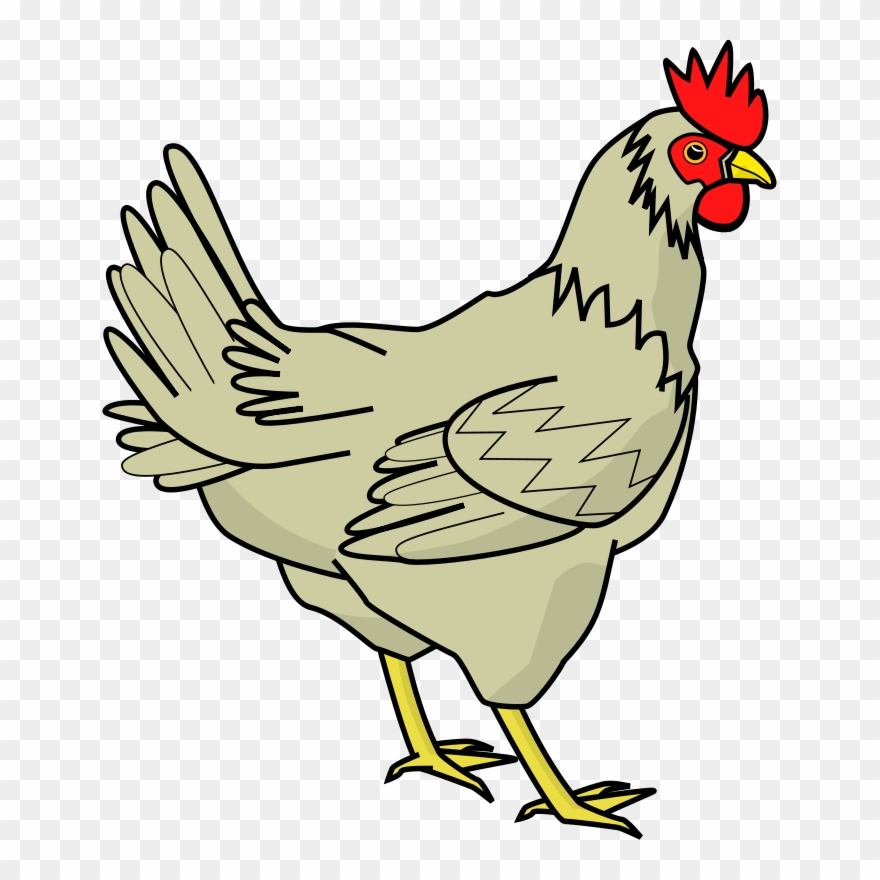 Chicken Png Images, Free Chicken Picture Download - Chicken Clipart Transparent Png