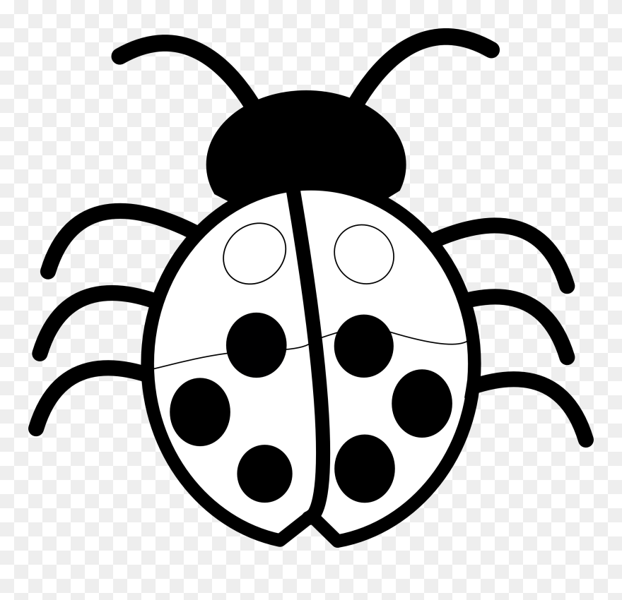 Black - Clip Art Flower Black And White - Png Download