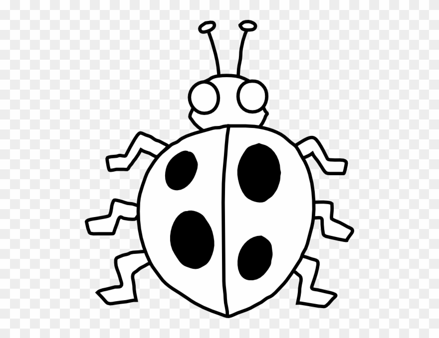Black - Ladybug Clip Art Black And White - Png Download