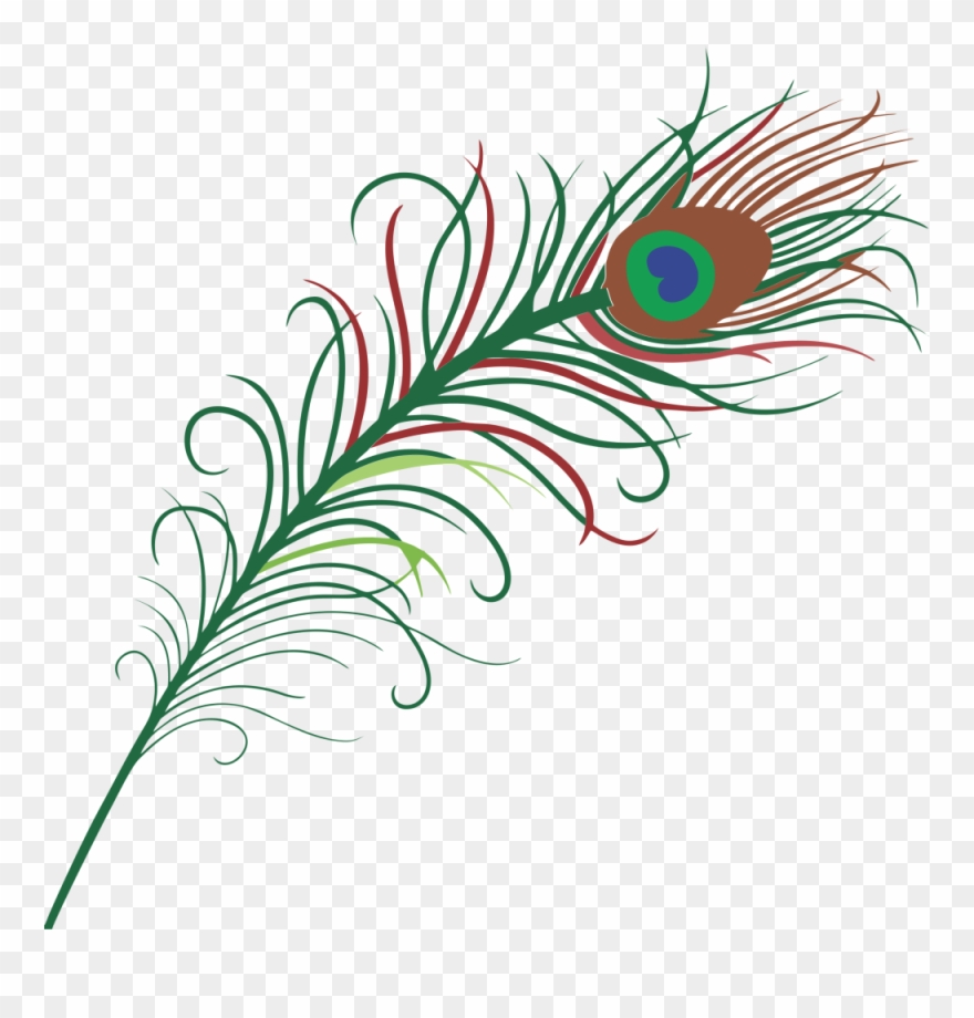 Free To Use Public Domain Birds Clip Art - Peacock Feathers Clipart Png Transparent Png