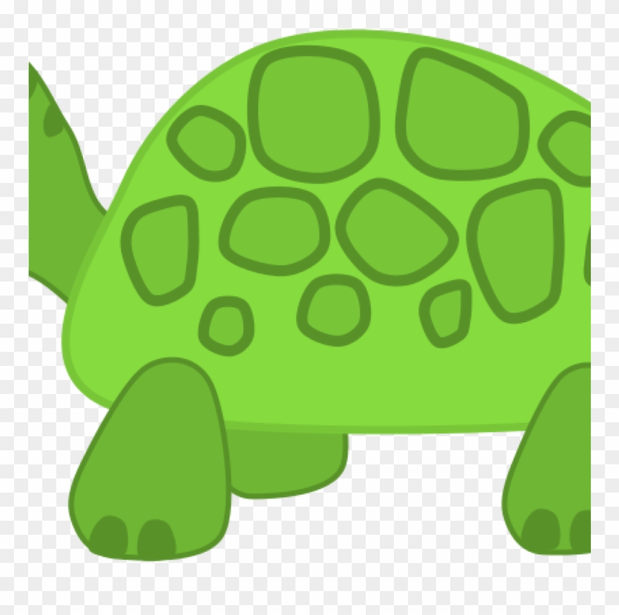 Turtle Images Clip Art Free Clipart Turtle Scout Science - Twisted Envy Aristurtle Aristotle Novelty Mug - Png Download