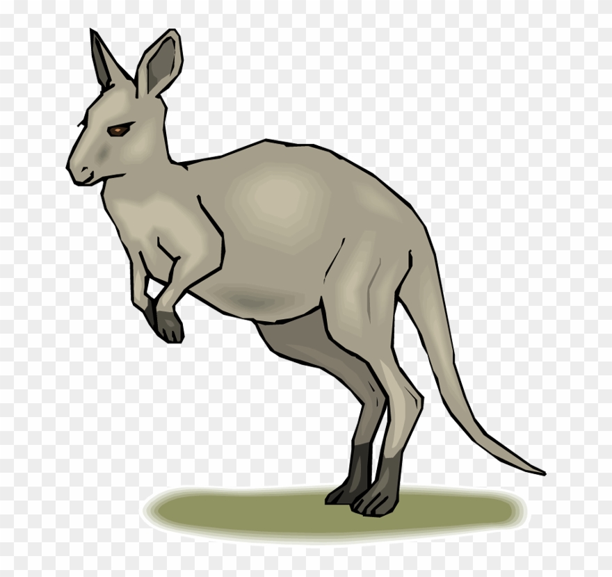 Free Kangaroo Clipart - Grey Kangaroo Cartoon - Png Download