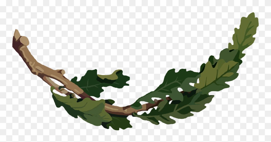 Medium Image - Oak Branch Clipart - Png Download
