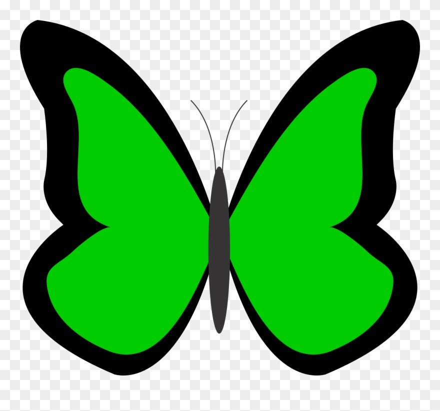 Sky Clipart Butterfly - Butterfly Clip Art Green - Png Download
