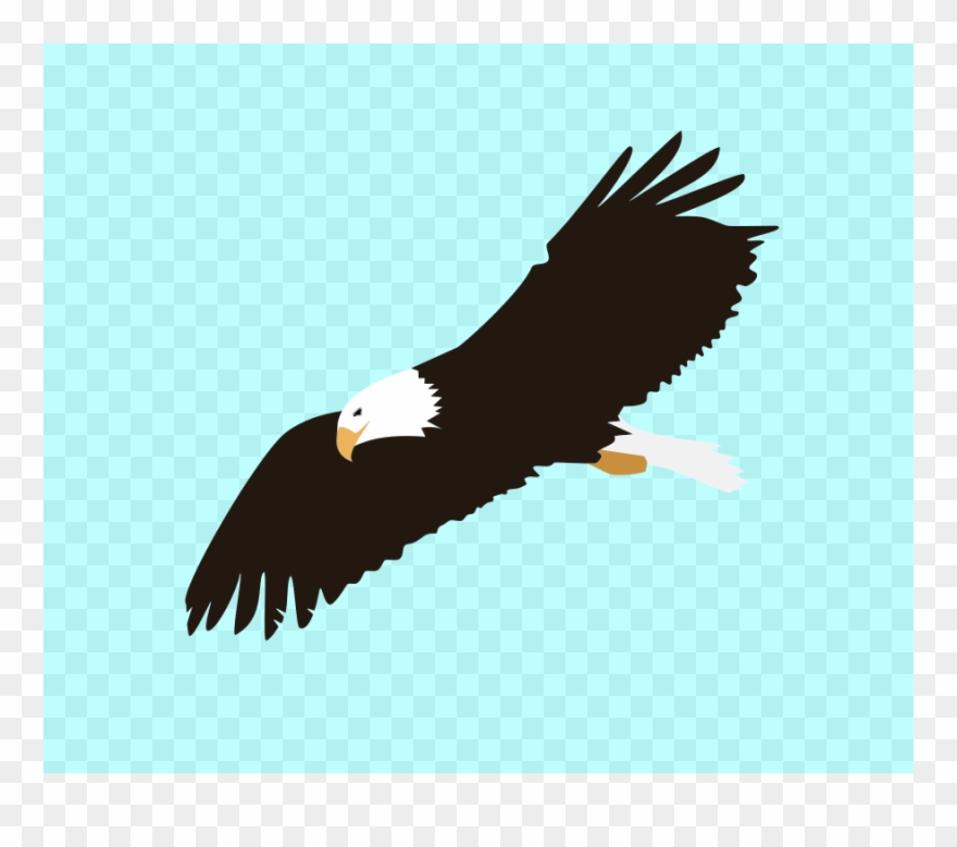 Soaring Eagle Clipart - Bald Eagle Clipart Png Transparent Png