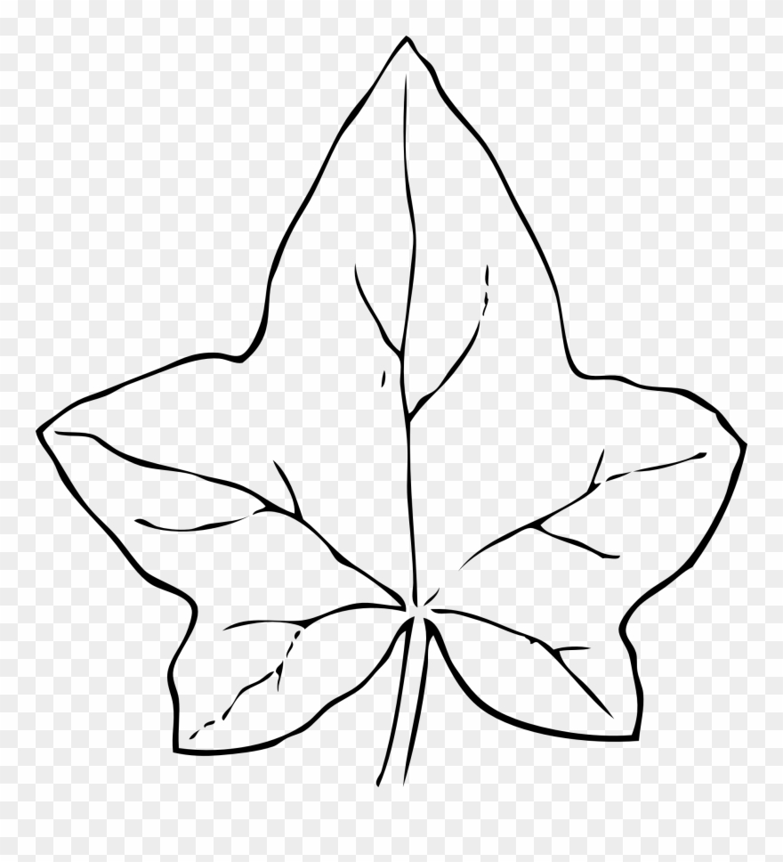 Fall Border Clipart Black And White - Png Download