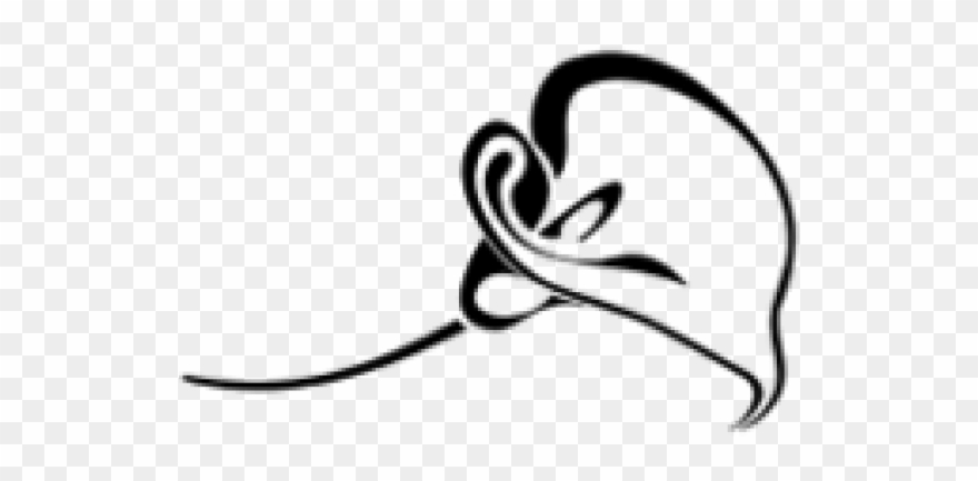 Calla Lily Clipart Border - Calla Lily Tattoo - Png Download