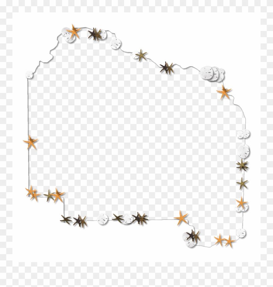 Starfish Outline Clip Art - Alachua - Png Download
