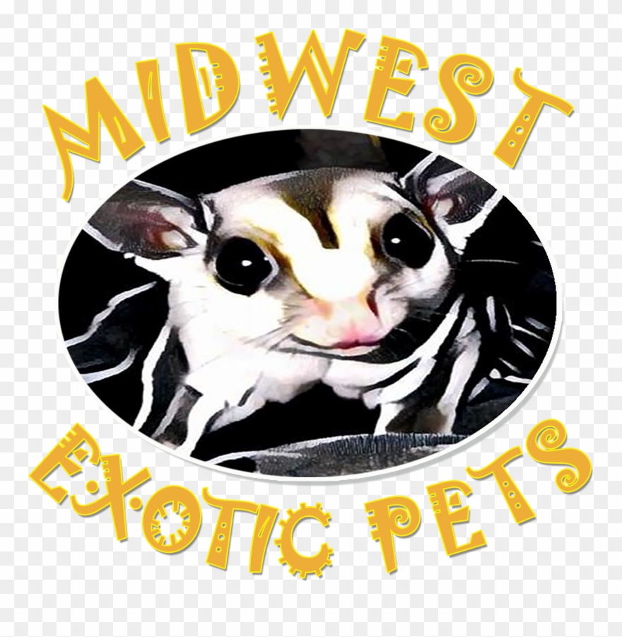Clip Art Royalty Free Welcome To Midwest Pets - Pet - Png Download