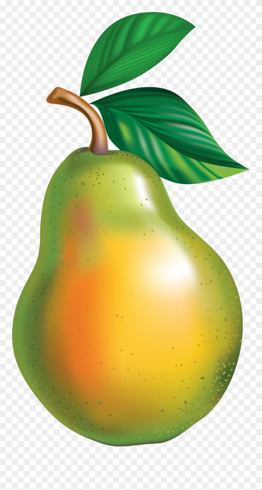 Pear Png Clipart Picture - Armut Png Transparent Png