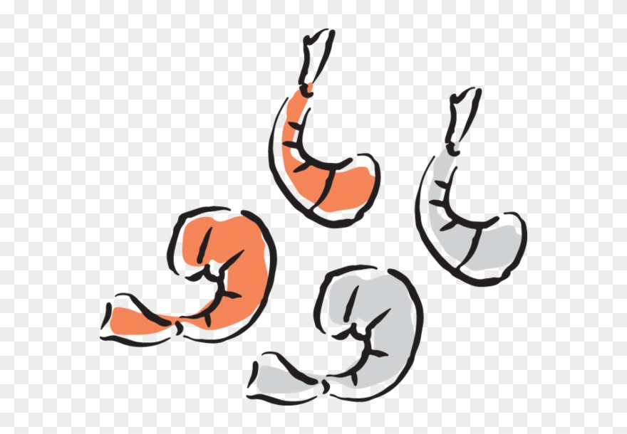 624 Shrimp Clipart Images, Vector Clipart, Multiple - Portable Network Graphics - Png Download
