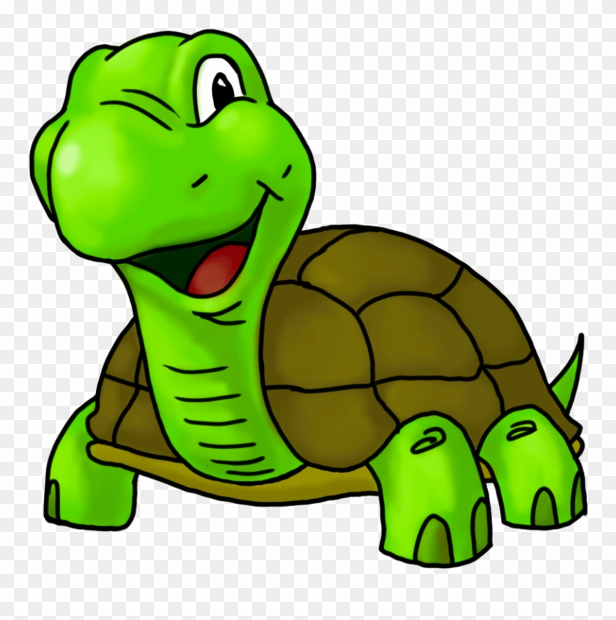 The Launch Of Our Turtle Creek Clinic Was A Huge Success - Tortoise Cartoon Clipart