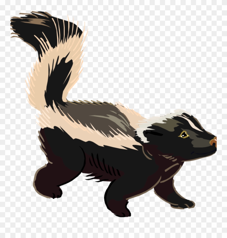 Skunk Clip Art - Skunk Clipart - Png Download