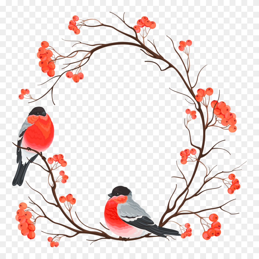 Blueberry Branch Png Clipart Clip Art - Border Birds Transparent Png
