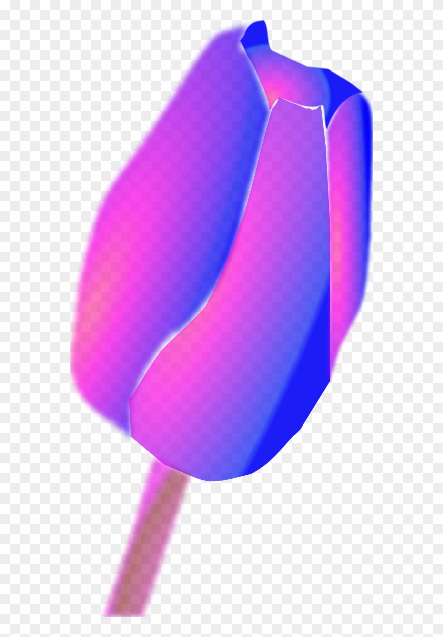 Tulip Flower Clip Art - Flower - Png Download