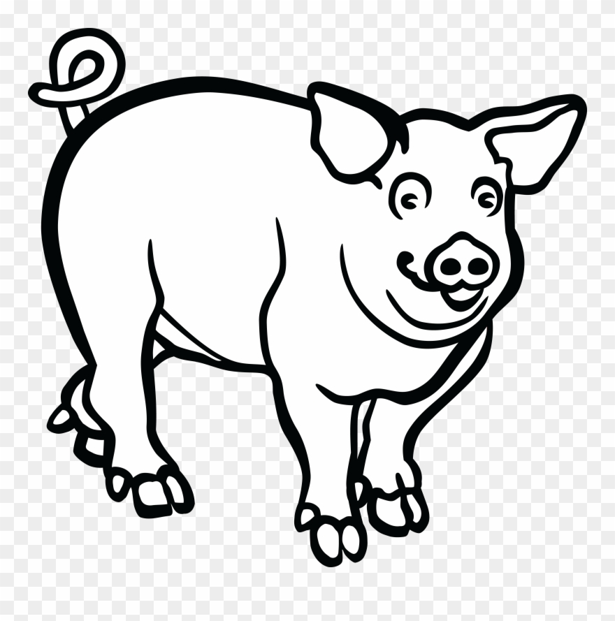 Wild Boar Line Art Drawing Black And White - Pig Lineart Clipart