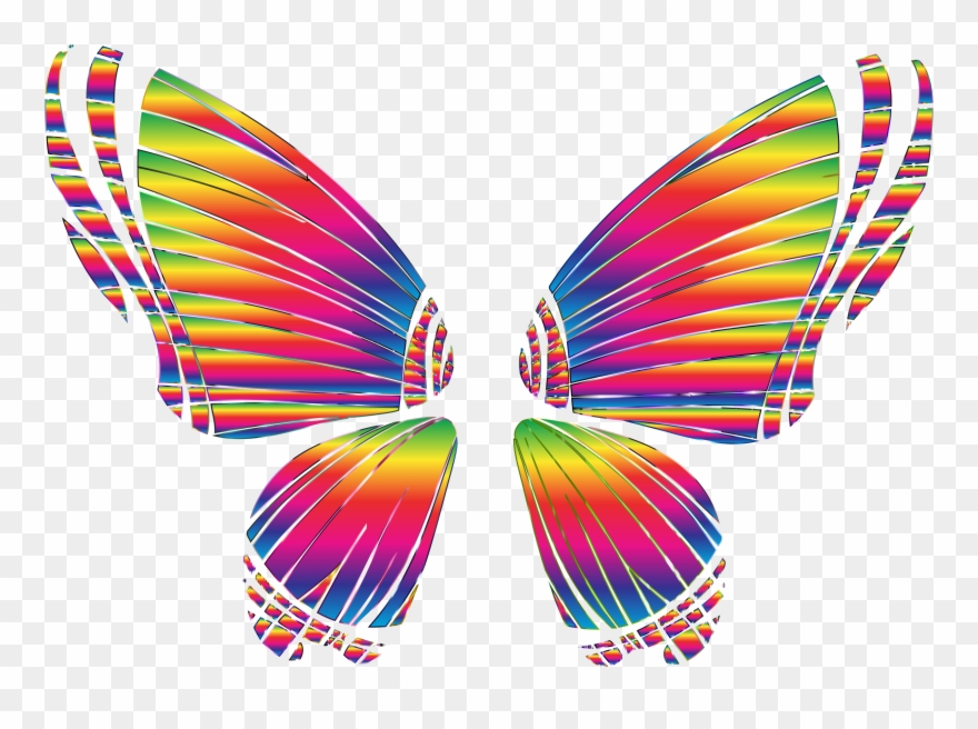 Rgb Butterfly Silhouette 10 8 No Background Bclipart - Png Download