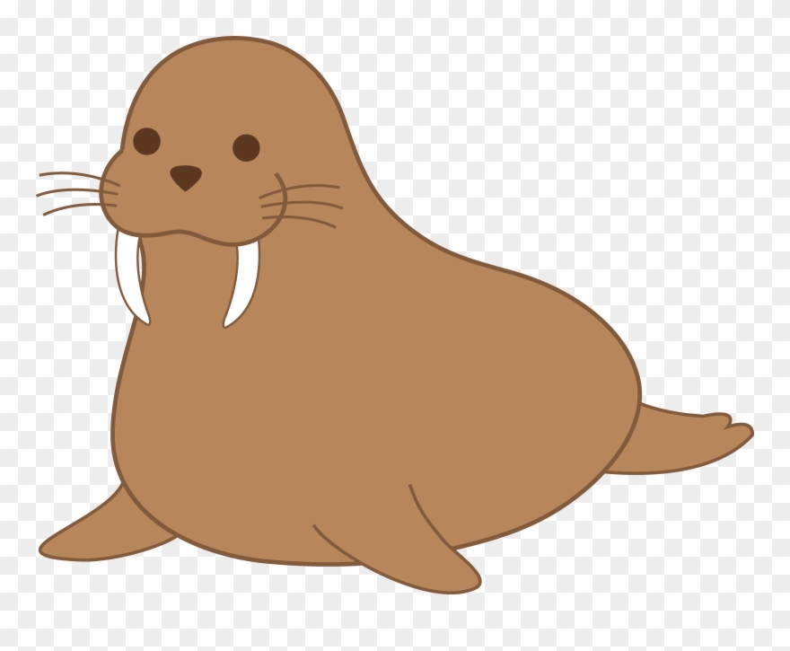 Walrus Clip Art - Png Download