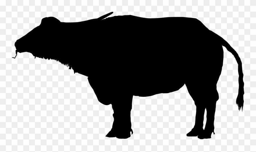 Water Buffalo Clipart Silhouette - Indian Buffalo Images Clip Art - Png Download
