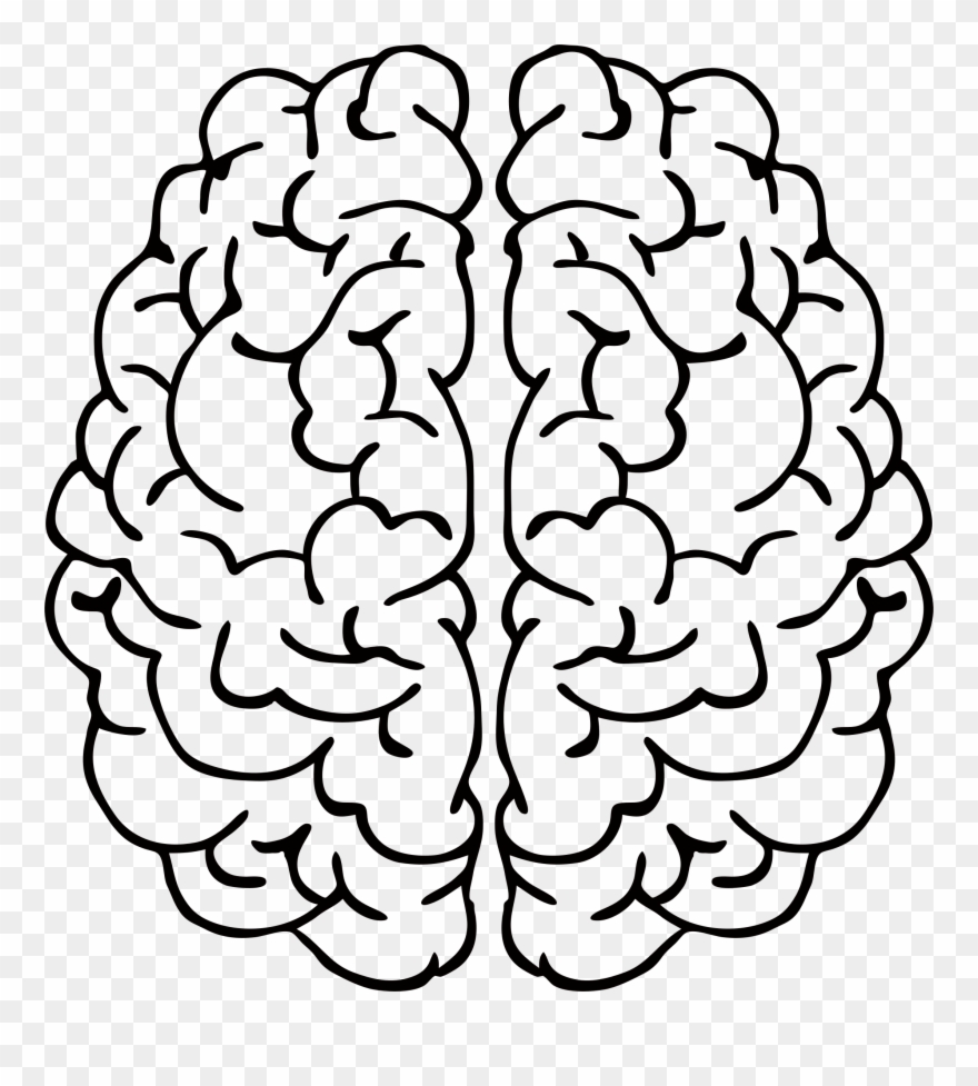 Clip Library Brain Clipart - Brain Line Art - Png Download