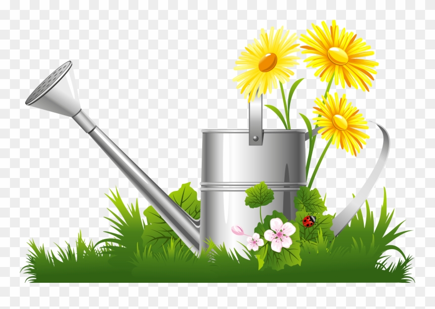 Camomile Clipart Spring Grass - Png Download