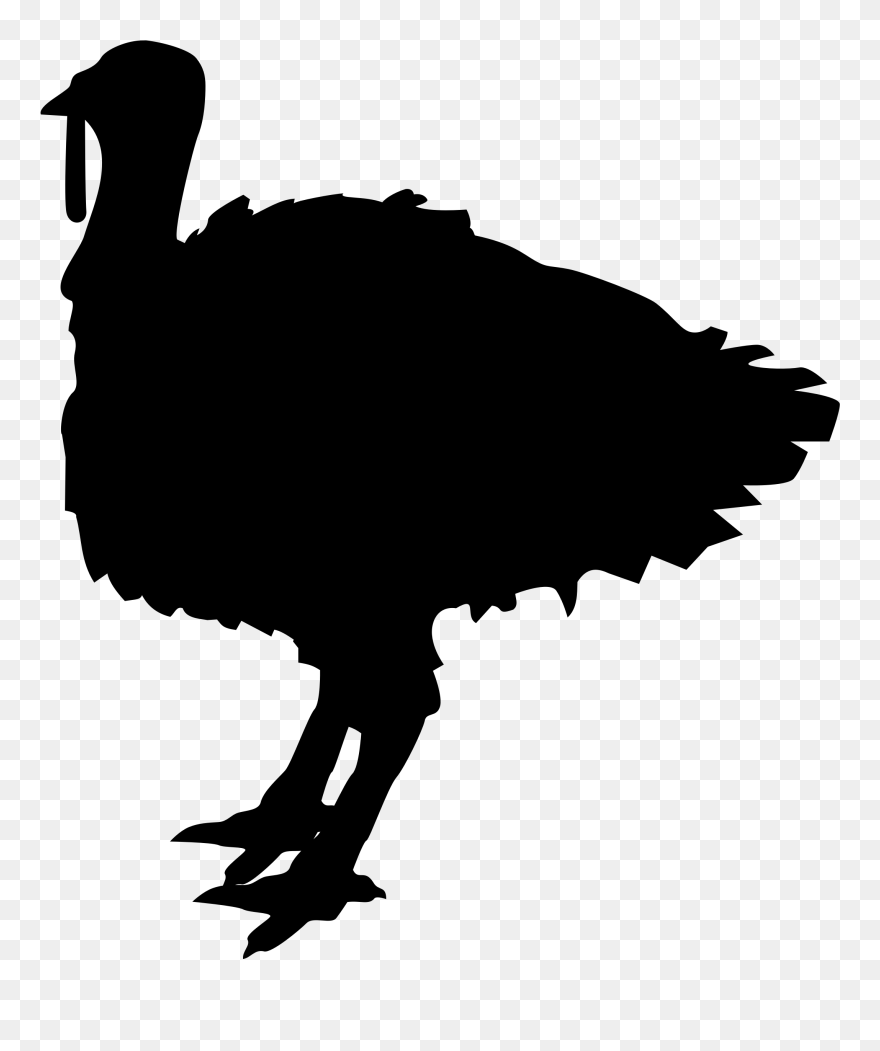 Shapes Clipart Turkey - Turkeys Black And White Png Transparent Png