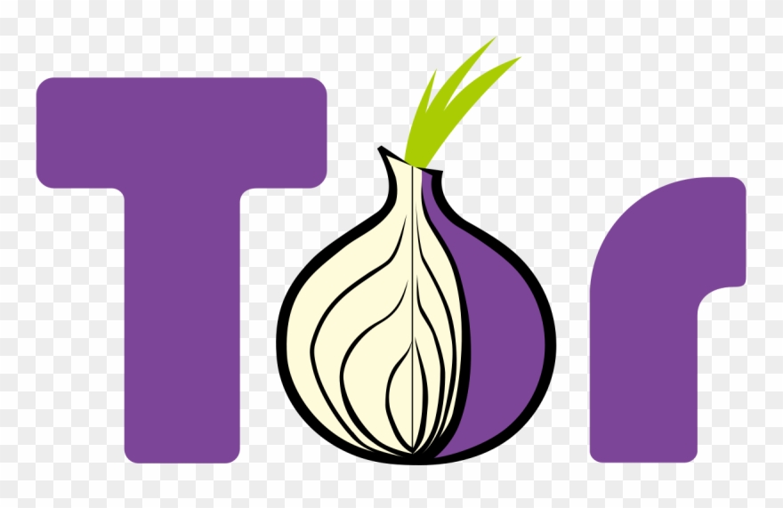 In This Tutorial, You'll Find Out How To Set Up Your - Tor Browser Logo Png Clipart