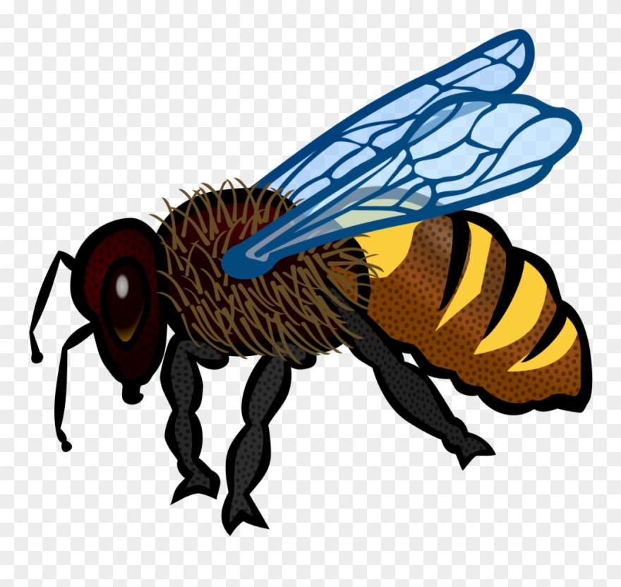 Bee - Bee Pictures To Colour Clipart