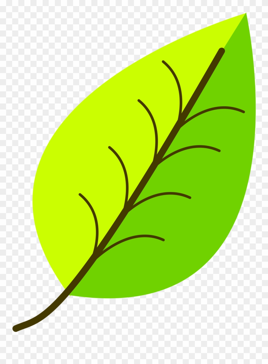 Clip Art Transparent Download Colour Leaf Vectorized - Simple Leaf With Colour - Png Download