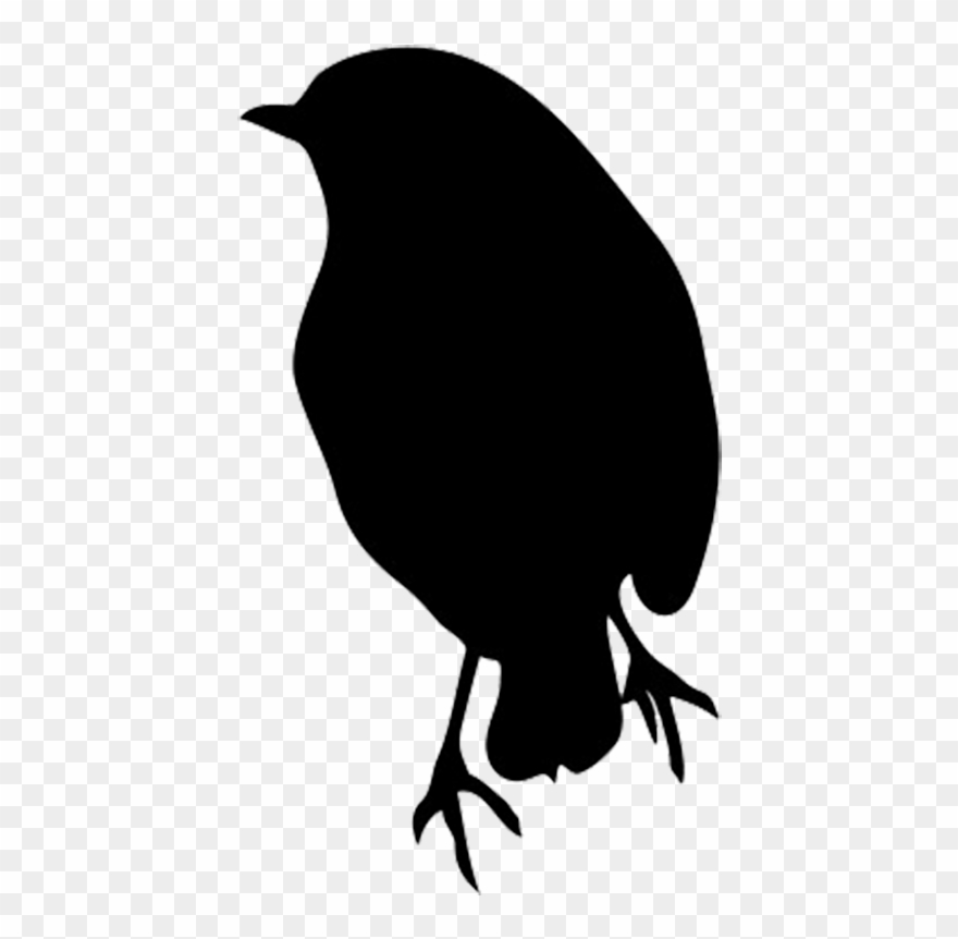 Silhouette Of Robin - Robin Bird Black And White Clipart