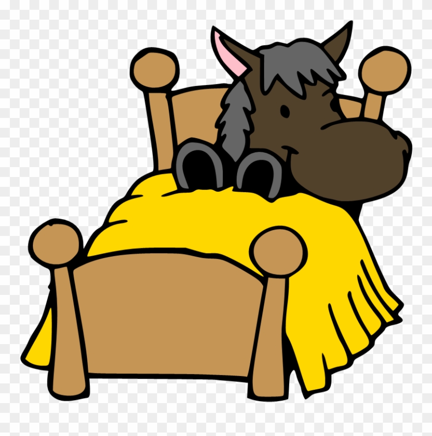 Courtyard Farm Ltd Home Farm Stables Hill Farm Stables - Horse In Bed Cartoon Clipart