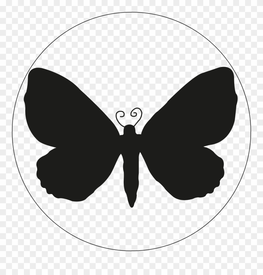 Eustroma - - Brush-footed Butterfly Clipart