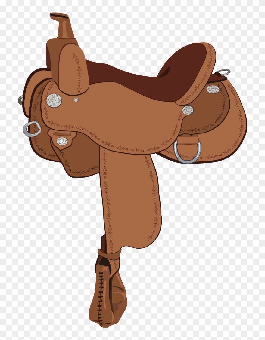 Vector Free Library Identify Horse Types Play - Transparent Cartoon Horse Saddle Clipart