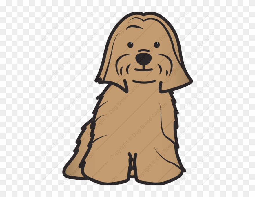 Lost Dog Alert Cinnamon Is Missing In East Indianapolis - Lhasa Apso Drawings Easy Clipart