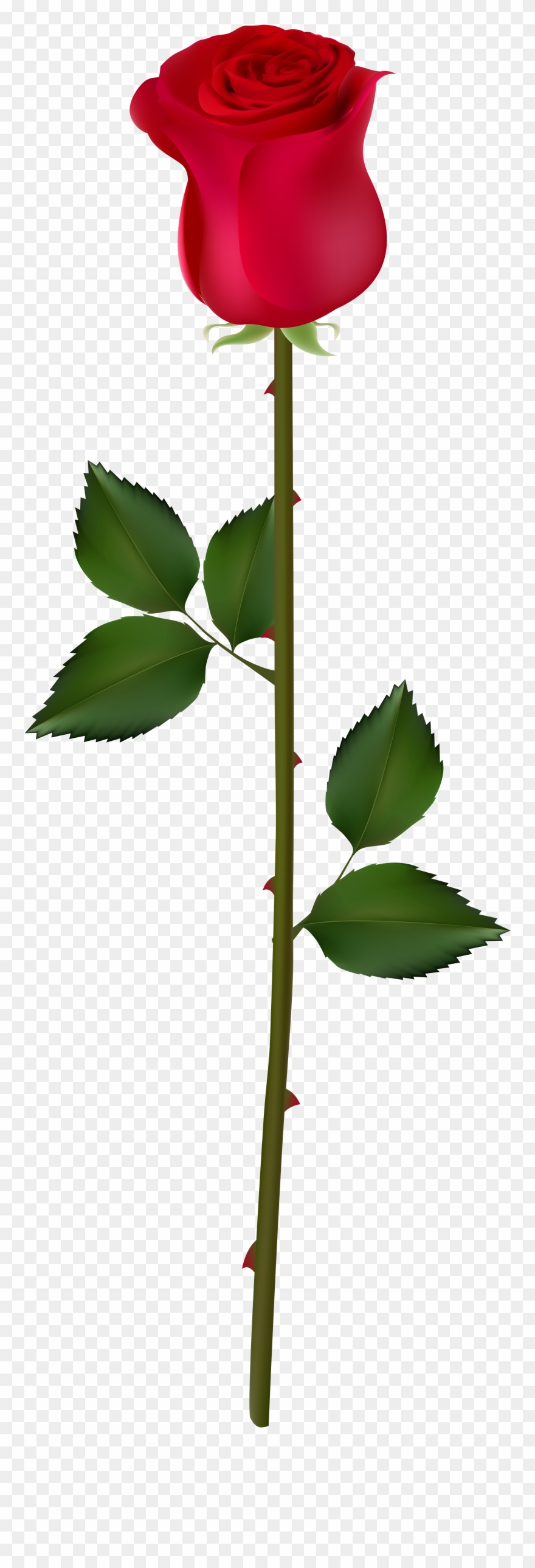 Red Rose Bud Png Clipart