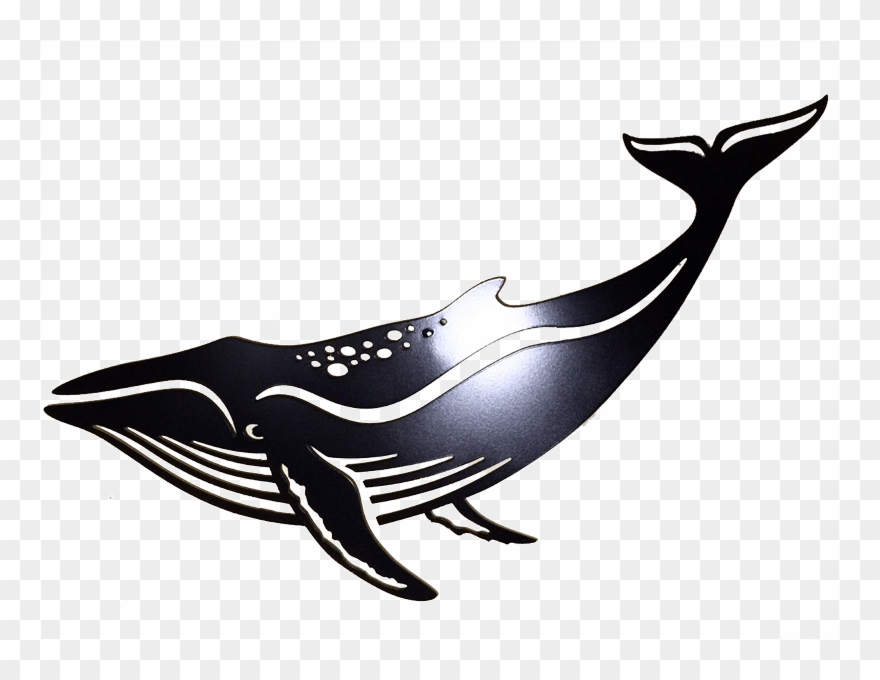 Anvil Whale 1 V=1500396004 - Baleia Jubarte Desenho Colorido Clipart