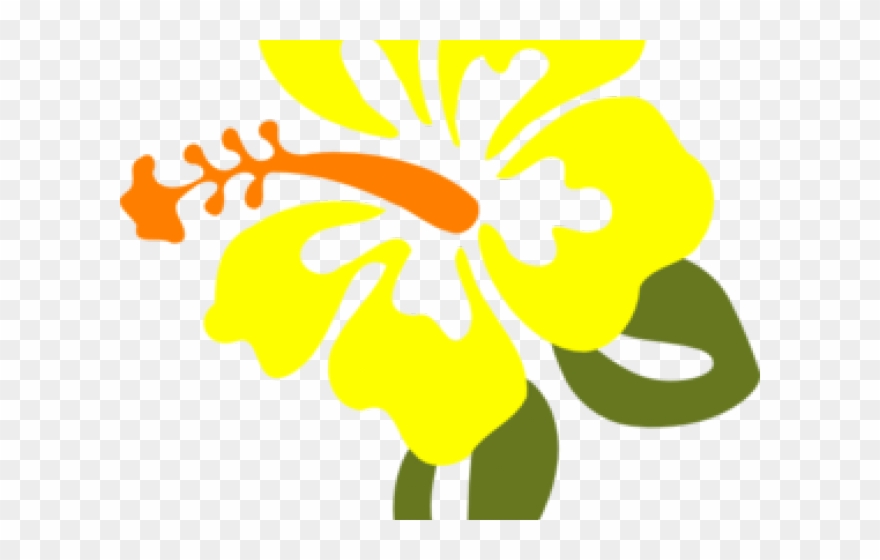 Yellow Flower Clipart Orange - Hibiscus Clip Art - Png Download
