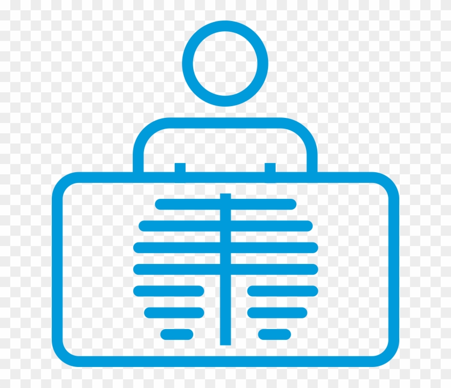 X-rays And Scans - Stock Illustration Clipart