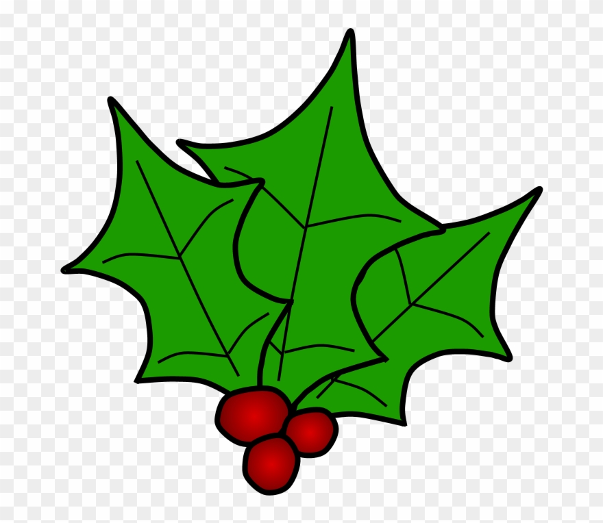 Holly, Berries, Leaves Together, Green - Holly Clipart