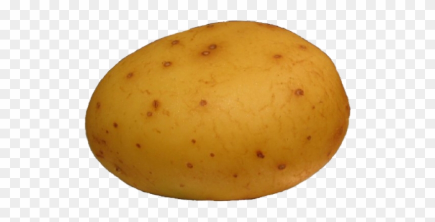Potato Clipart High Resolution - Potato With Curly Hair - Png Download