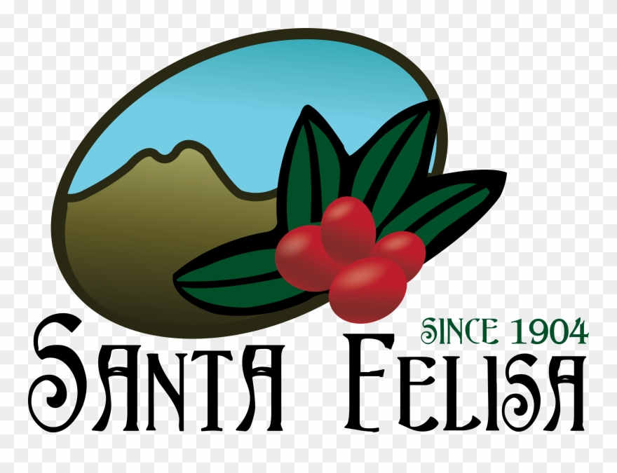 Coffee Was First Auctioned Online In Clipart