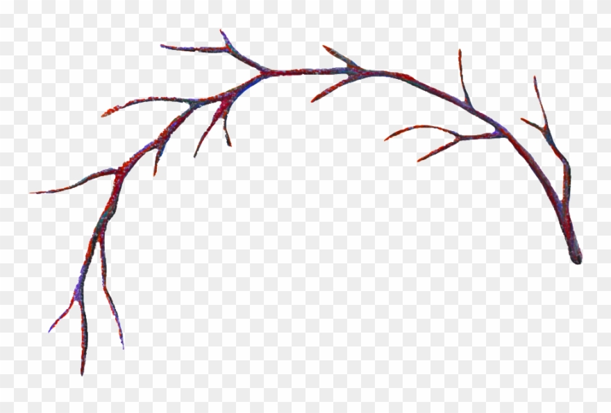 Clipart Black And White Stock Branch Transparent Decorative - Curved Branch - Png Download