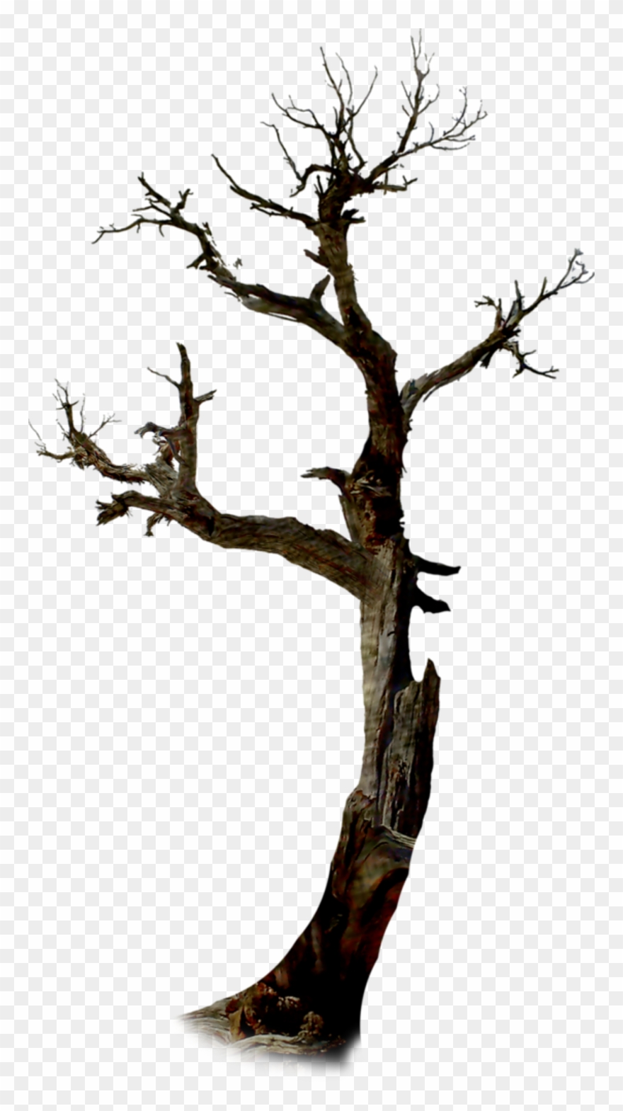 Image Royalty Free Library Twig The Tree Clip - Хэллоуин Деревья Png Transparent Png