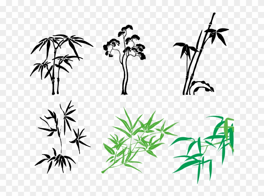 Twig Vector Hand Drawn - Bamboo Illustrations Vector Clipart